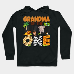 Grandma Of The Birthday Wild One Safari Boy Family Hoodie